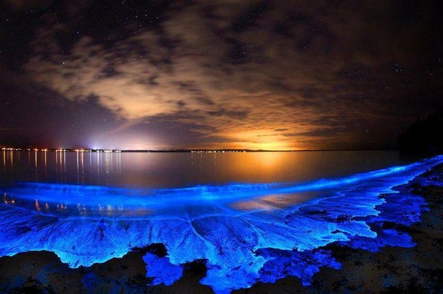 ilhas maldivas mar de estrelas