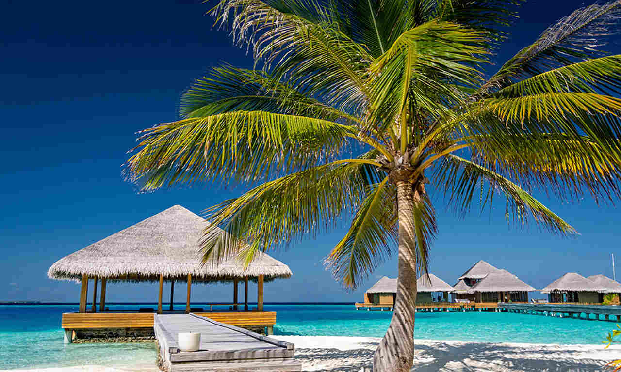 temperatura ideal para curtir uma praia com palmeira e bangalôs nas maldivas